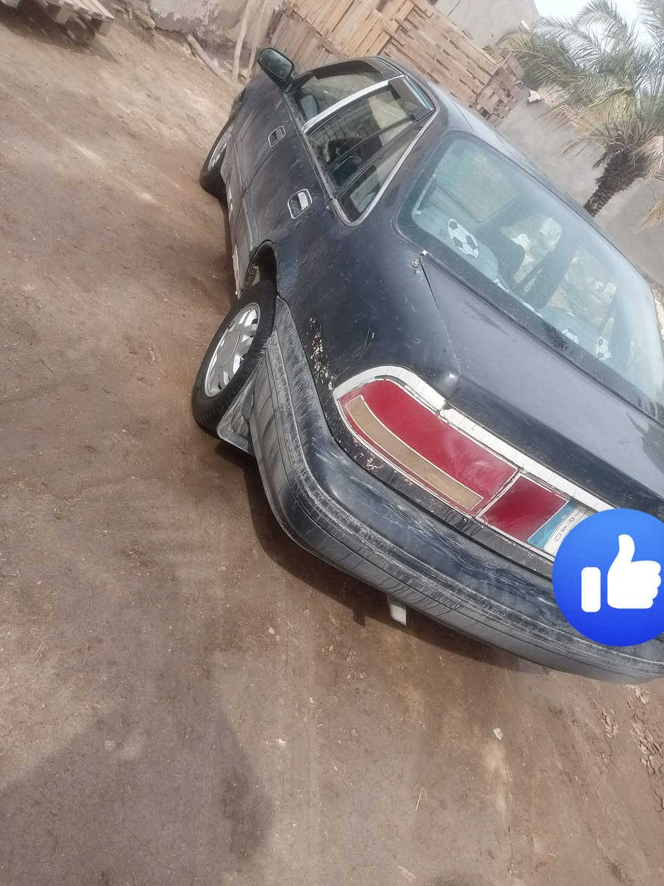 السلام عليكم سياره للبيع برنس موديل 1993 لون اسود اوتوماتيك السياره جاهزه خير من الله تخم تاير جديد كهربائيات كلها شغاله سنويتها منتهيه بال 2025 شهر 11 رقمها مثنى تحويل ثاني يوم السعر 21 وبيها مجال مكان السياره السماوه رميثه رقم الهاتف ***********
