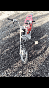 دراجة • بدون الشراي • ديوانيه سنيه