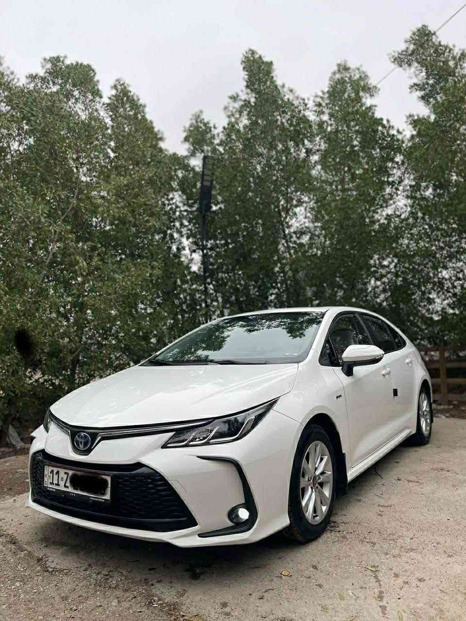 سلام عليكم كورلا 2024
السعر 140 

_هايبرد 1800

سياره كفاله من صبغ ول بارد 

ماشيه 33

سياره بيه رصعات ٣ بل قماره على كد ٣ اصابع وبيه ٤ رصعات حالوب وكلهن يرجعن BDR وما يبينن بل سونار 

والباقي كفاله 

السياره جديده جداً وعلى وضع الشركه ومناقصه شي 

فول موصفات كشن كهرباء داخل احمر اناره محيطيه 

مكان بغداد 

رقم ***********
