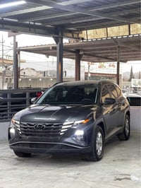 توسان SEL • ٢٠٢٣ • ٦٠٠٠ ميل