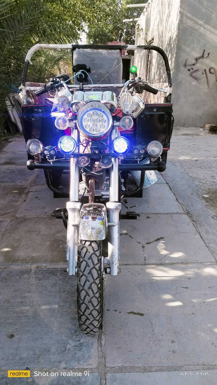 سلام عليكم صقر للبيع مديل 19جاهزه رقم مكاني الدوانيه قضاء الدغاره.شراي خابر ودلل ***********
