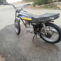 بدون ب • ٢٥٠ • المجر الكبير