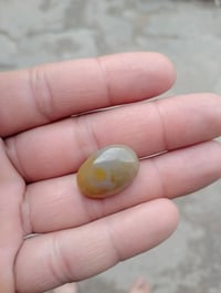 سليمانية قديمه • مراوس