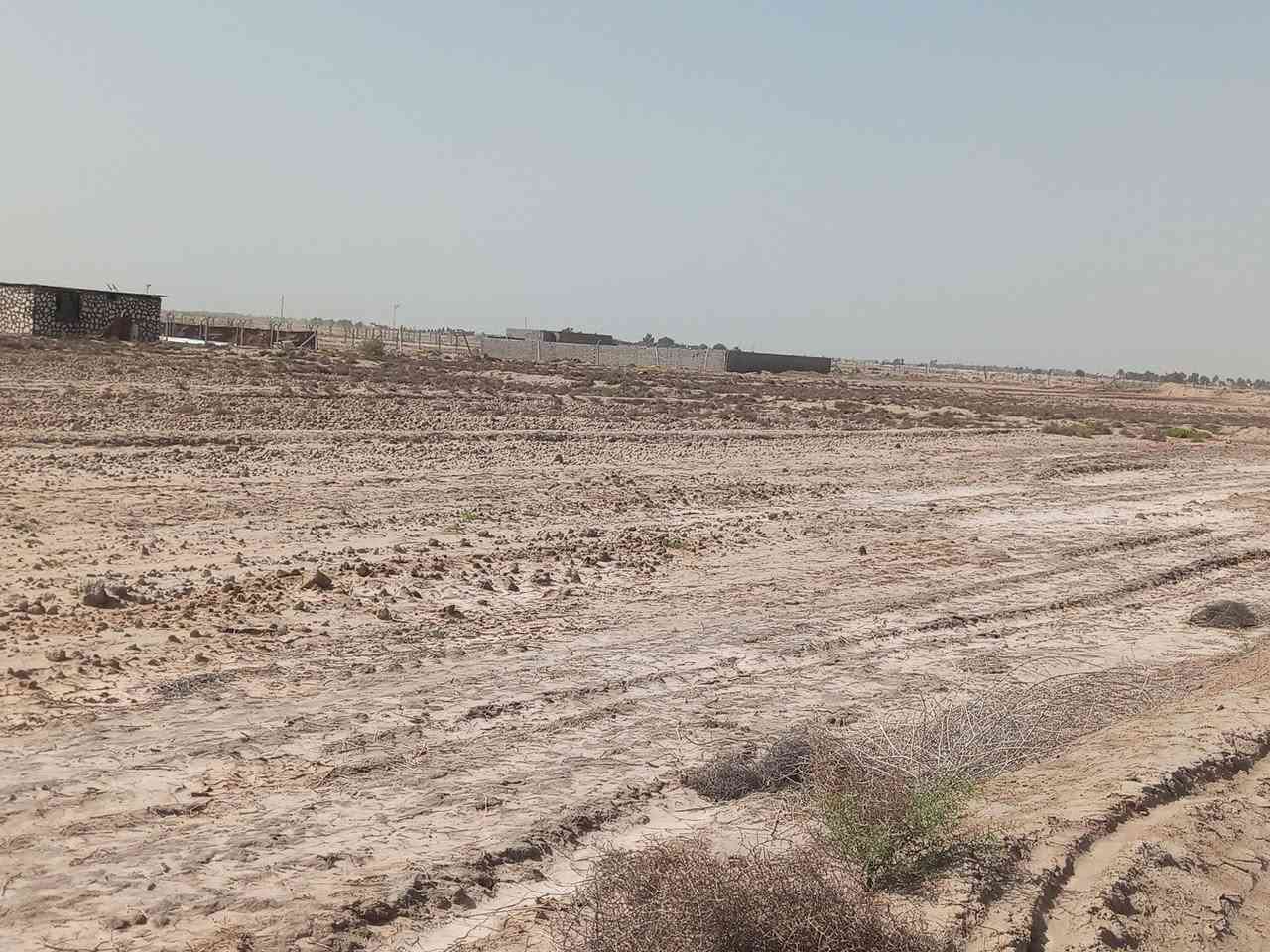 سلام عليكم أرض طابو زراعيه للبيع طريق ديوانيه دغاره قرب معمل الطابوك 11دونم نزله التبليط الجديد  تصل ***********
