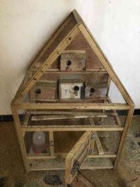 قفص • بغداد • مدينة الصدر
