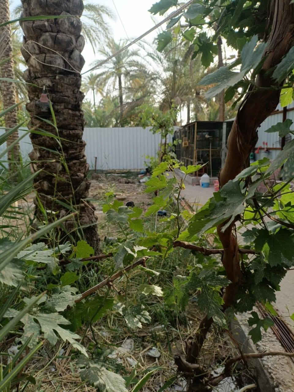 للبيع مساحته 730 متر بستان مع دار 180 متر  قرب البارون اطابقين بيه 4 غرف نوم مع استقبال ومطبخ  وصحيات داخليه وصحيات خارجيه وطارمه والتفاصيل اتصل ***********  *********** واتساب 
قرب البارون     قرب البارون ويبعد عن الشارع الرئيسي 250 متر
