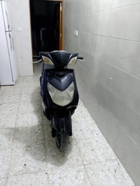 سكنس فحل • ياباني • اوراق كامله