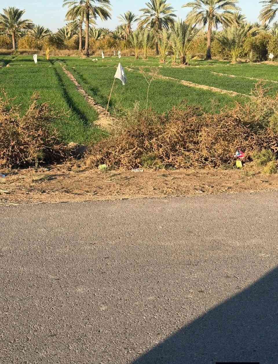 دوانم جميله موقع جيد التاجي ذراع دجلة طابو سند 25 خدمات كاملة ماء اسالة وسقي وكهرباء وسوق مدارس منطقة ريف كلش حلوه الحياة هنا تختلف عيش برفاهيه                (اخذلك 3دونم 7500 متر او 4 دونم 10000 متر سعر الدونم 30  مليون )
رتب بيهة مزرعه عائليه ترتاح كلش البناء مسموح سوق مدارس كلش حلوه المنطقة وقريبه على بغداد 
اي استفسار بخصوص الدوانم على الرقم  واتساب ‏‪***********,‬‏
