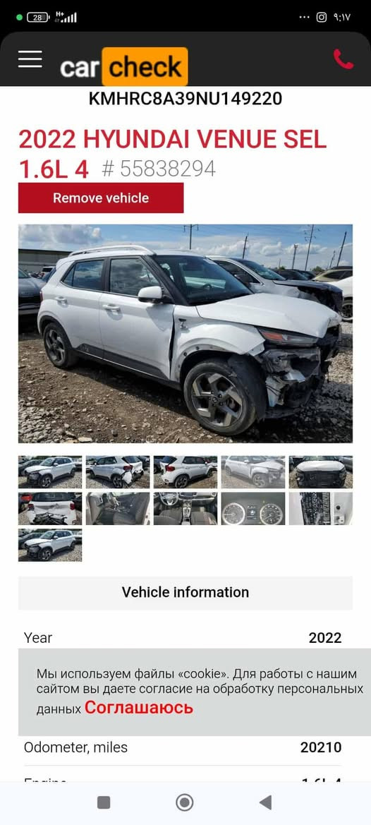 السلام عليكم فينو موديل ٢٠٢٢ فول عده البصمه بيها قبق الجنطه صبغ بدون ايرباك محرك ١٦٠٠ دبل نوزل ماشيه ٤٣ الف ميل رقم أربيل بسمي سنويه جديده السعر ١٢٥ بغداد الدوره هاتف ***********
