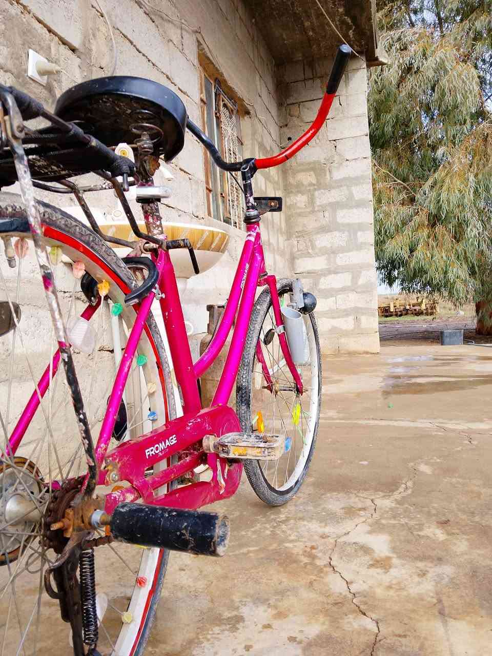 بايسكل للبيع حجم 26 شركه فروماج مرغوب سعر 90 وبي مجال  مكان كركوك ومراوس يرهم


**إذا كنت صاحب هذا الإعلان وتريد حذفه لأي سبب، رجاءا أرسل رسالة إلى الدعم الفني**