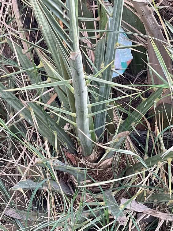 سلام عليكم عندي حوض كامل فسائل إبلك
أبيع شيله وحده مكاني فرع الوركاء


**إذا كنت صاحب هذا الإعلان وتريد حذفه لأي سبب، رجاءا أرسل رسالة إلى الدعم الفني**