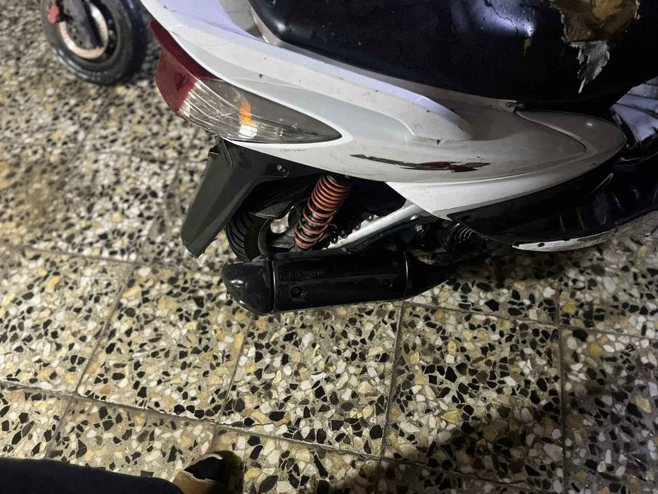 السلام عليكم سكنس فحل كوري
السعر 500 وبيهه مجال للاستفسار التواصل عبر الواتساب ***********
