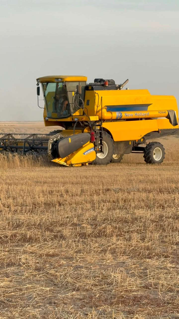 عل بركت الله  حاصود البيع موديل 20 كفاله عامه وقم سليمانيه بسمي مشتغله 1700تايرات شركه عل وضع شركه لاستفسار ***********
