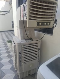 نقص ليف • نهائي