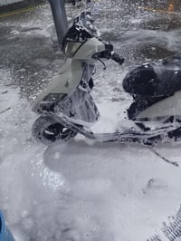 ثعلب مراوس بماكس  مكاني الدوره 07710607650