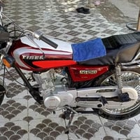 موديل 20 • اوراق اصولي • محاويل