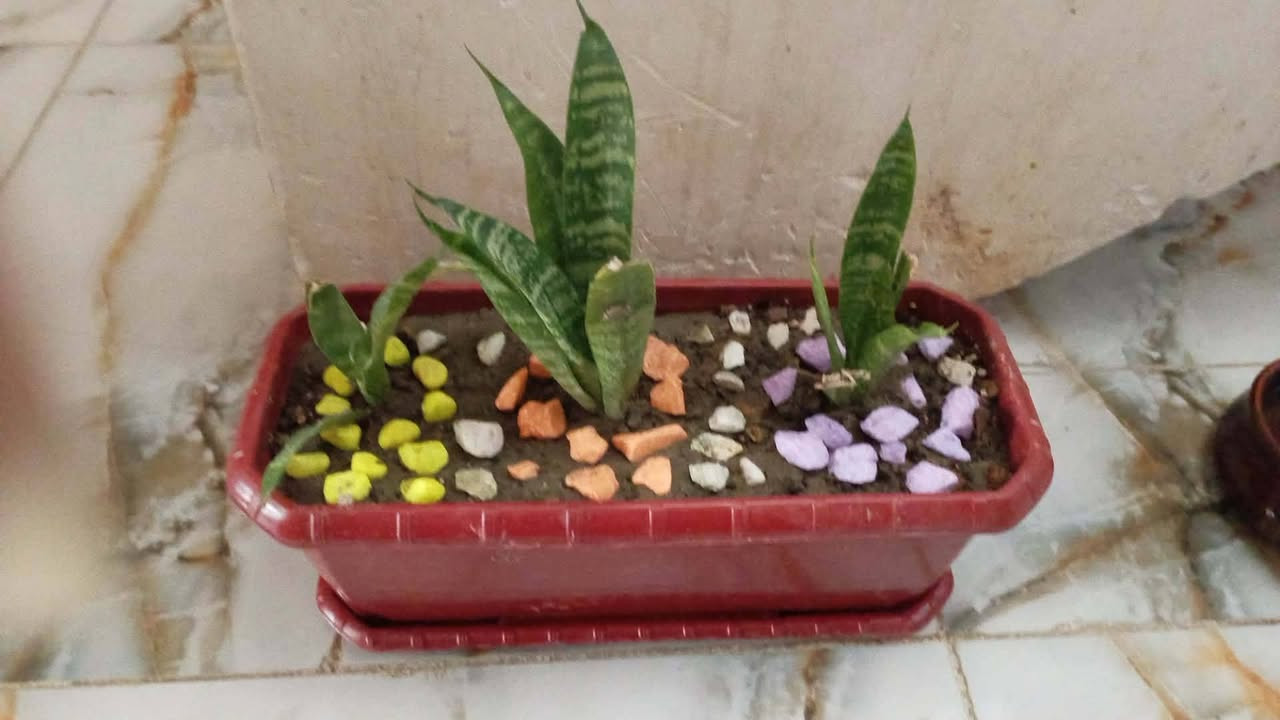 توفرت سنادين جلد النمر الحجم المتوسط الطلب مراسله الصفحه وبسعار مناسبه توجد خدمه توصيل


**إذا كنت صاحب هذا الإعلان وتريد حذفه لأي سبب، رجاءا أرسل رسالة إلى الدعم الفني**