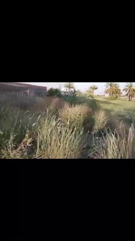 سلام عليكم دوانم لبيع دوره عرب جبور سند ٢٥ طابو تنباع حسب الطلب سعر دونم واحد ١٢٠ مليون وبي مجال واتساب *********** ***********
