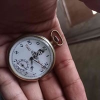 قطر ٤٤ • شغالة • فطر بالجامة