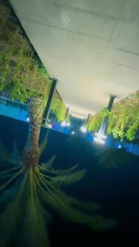 07733330183 07865;16667