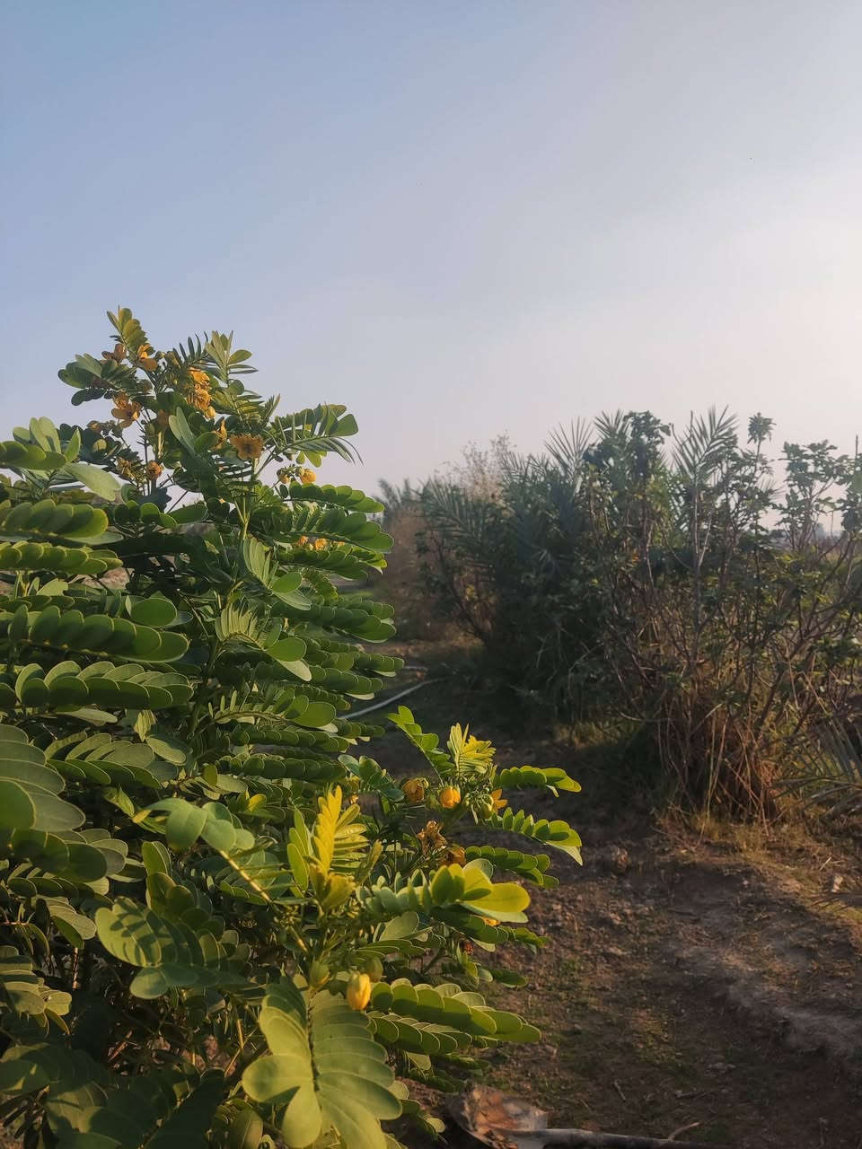مزرعه للبيع مساحه واحد دونم
مسيجه بلكامل بي ار سي 
تحتوي على كافة الاشجار المثمرة نخل تين رمان توت 
ارض زراعيه صالحه للزراعه ماء سقي +بير ارتوازي +اسالة 
كهرباء محولتين خطين مستمرة 220 ثابته 
تحتوي المزرعه على دار سكني مساحه 150 بناء بلوك 
عنوان المزرعه طريق السنية السياحي تعبر سكه القطار بمسافة قليلة كلش مقابيل مكتب عصام الصالحي نزلة تبليط عن الشارع العام الرئيسي تقريبا كيلو تبليط لباب البيت منطقة سكنية وخدمية وتبليط للباب 
تصلح سكن او استثمار او ترفيهية سعر مناسب مع اسعار المنطقة الاستفسار اتصل بلرقم ***********
