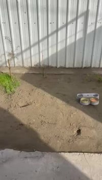 دار للبيع في المشتل حي فدك جهة المعلمين عالشارع العام قرب مجلس البلدي ...