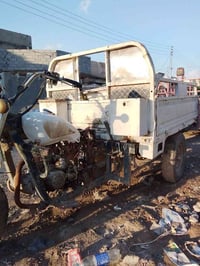 ستوته • موديل ١٢ • أوراق كاملة