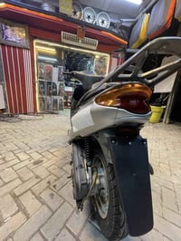 دراجة دولفين • حالة فحل • ما مفتوحة