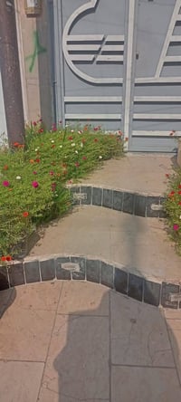 مشتمل للبيع مساحة 100م الواجهة 5م والنزال 20م منطقة البنوك سوق الميثاق...