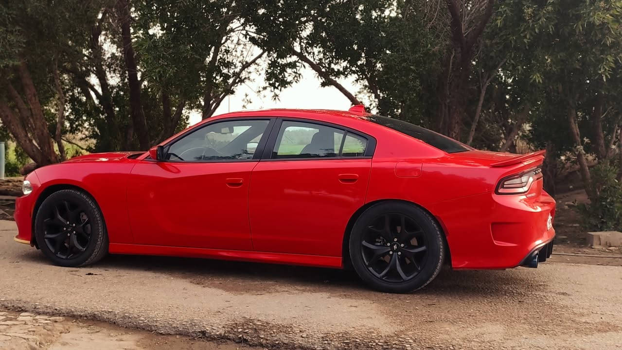 جارجر2022.GTرقم بغداد بسمي تحويل ثاني يوم موصفات لون احمر طماطه
شفتات+مرايه قلاب+كامره دواره

حساسات خلفي+حساسات مرايه

شاشه كبيره

تبريد خلفي 

عداد مسافة

60mi

هواي بعد موصفات ماعرفه 

حادث امريكا سطحي من كدام 

اني دخلته من امريكا

ستخدام شخصي

تفتصيل اكثر نتصال وتدلل 

***********

العنوان : ميسان العماره 

السعر :230$وبيه مجال

افحص سونار وقتنع وخادم
