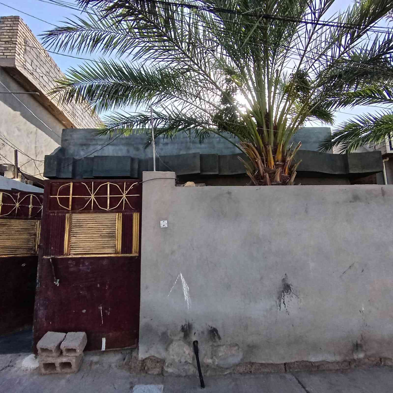 دار للبيع مساحة ٢٥٠ متر السعر ١١٠ مليون  الفلوجة حي الشهداء خلف مسجد تاج الوقار نافذ ع شارع التوزيع (شارع اربعين) غرفتين +صاله + ديوانيه + مطبخ + حمام حديقه مناور ٢ وممشه
رقم الهاتف***********
