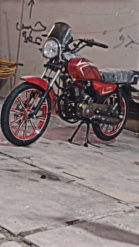 شاينك • ٢٠٢٥ • بصره