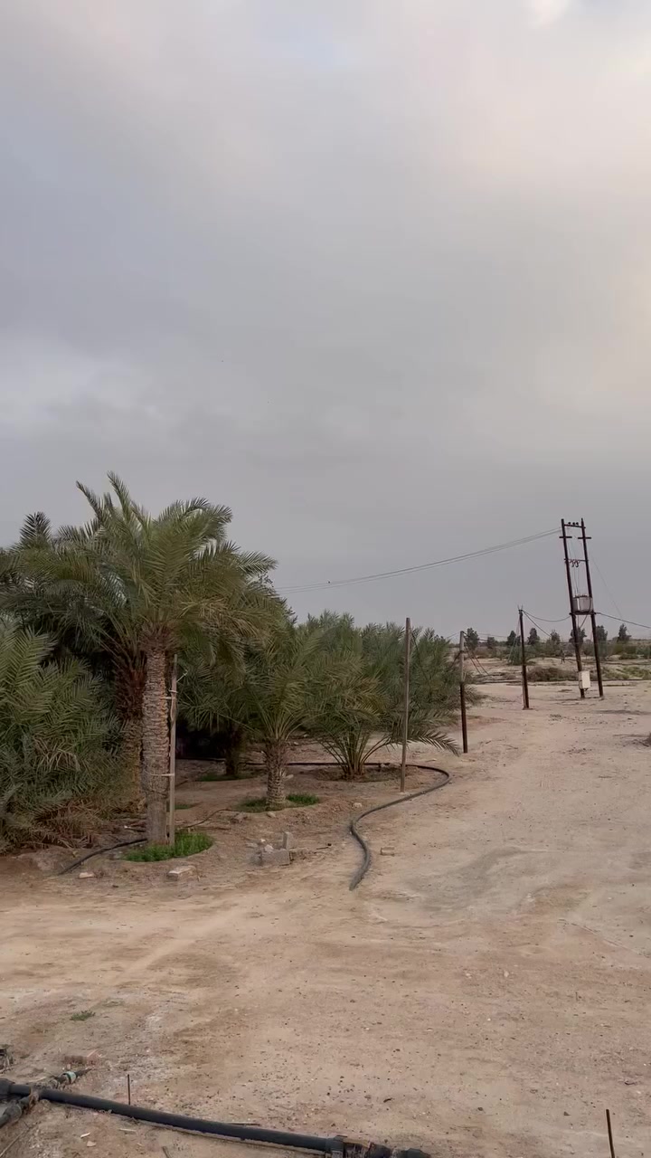 🌴 مزرعة للبيع – فرصة استثمارية مميزة 🌴
📍 الموقع: البصرة – الزبير، على طريق سفوان
 • المساحة الكلية: 45 دونم مرتسم
 • المساحة بعقد: 32 دونم
 • العقد: مُجدد سنة 2025 مع قانون التمليك

🌴 النخيل (جميعه مثمر)
تحتوي المزرعة على حوالي 450 نخلة من أفضل الأصناف:
البرحي – المجهول – السكري – نسيجي – فسائل – أم الدهن
🌳 أشجار الزينة والمستوردة
حوالي 750 شجرة من الأشجار المميزة:
الأثل الأمريكي – الشجر الهندي – الحناء – الورد الجهنمي – نخيل واشنطن

️ الخدمات المتوفرة
✔️ نظام سقي متكامل جاهز
✔️ محولة كهرباء خاصة
✔️ بيت فلاح داخل المزرعة
✔️ المزرعة جاهزة للاستثمار
💰السعر المطلوب : 500 مليون دينار عراقي ( قابل للتفاوض للجادين )
📞 للاستفسار التواصل على الخاص أو الاتصال
***********
***********
