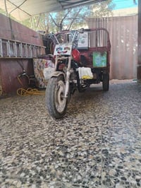 شاصي جديد • ستوته نضيفه • بدون أوراق