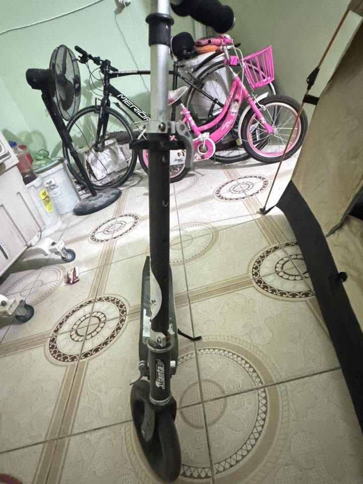 خيمة اصلية مال تخيم الحجم الكبير السعر ٥٠ وبيها مجال اشيل اكثر ٤ اشخاص  وباسيكل اصلي اخو الجديد مستخدم قليل السعر ٦٥ وبي مجال اسكوتر بالة اصلي حديد مو بلاستك اصلي  سعرة ٣٥ مكان بغداد ***********
