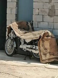 نامة • موديل ٢٠٢٤ • وراق