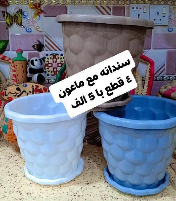 ❤️لكثرة الطلبات 🌹
🪴يتوفر لدينا جميع اكسسوارات نباتات وسنادين بلاستك نوعيه ممتازه 🦊🪴 🐼 
🚕توصيل كل محافظات العراق 🚕 
🪴الزرع لعرض فقط 🪴 
يتوفر جمله ومفرد 🐼 🦊 
حجز على خاص ☎️
📞***********📞

🐼تتوفر لدينا جميع اكسسوارات نباتات 🐼
🪴و سنادين مختلف الأشكال والأحجام والألوان 🕊️🐝🐞🐦🕊️🦋🐦🐞🌿🍄🕊️🐞🦋🐦🍄🌿
متوفر دعسوقات 🐞 🐞🐞🐞
ونحلات لاصقه 🐝🐝🐝🐝🐝
وفراشات 🦋🦋🦋🦋🦋🦋
فطر زينه 🍄🍄🍄🍄🪴💕
1-🐼باندا او سنجاب 🐼 
 2🐞
4-🐞وسط ٢٠ وسط جيس الف 🐞
5-🐞دعسوقة خشن ١٠ قطع با الف 🐞
6-🐞دعسوقة ملون ١٠ قطع الف🐞
7-👍كف ١٠ قطع الف 👍
8-🐦عصفور ٥٠٠ القطعه 🐦
9-🪴غصن مترين رفيع  الواحد الف 🪴
10-🎊نشر ضوئيه مترين الف 🎉🎊
11-🌹🐝
12-🌹🍄🐝🐝
13-🌹🦋🦋🌹فراشه عاديه لصق وجهين و مغناطيس ١٠ قطع با الف🦋
14-❤️جيس ١٠ قطع  ماسك لبلاب كف 
١٠ قطع الف👍
15-🍄١٠ قطع فطر اكبر شويه الف 🍄
18-🪴ماسك لبلاب الف 🌿
🦋
19- فراشات سيم صغيره  ٤ سم 4 با الف🦋
🦋٧ سم ٣ با الف🦋
🦋٨ سم و ٩ سم  ٢ با الف🦋
20-فطر ملون صغير 10 با الف🍄
21-دعسوقة ام عوده ملون جيس 10 قطع الف
22-فطر احمر كبير او صغير جيس الف🍄
23-فطر ملون  صغير او كبير جيس الف 🍄
26- حجر ملون فقط جيس الف 🔵🟣🎊
🪴الزرع لعرض فقط🪴 
#توصيل كل #محافظات_العراق
#بغداد #ناصريه #نباتات #ديوانيه #زرعاتي #سنادين_ورد #ديكورات #نباتات_منزلية_داخلية #نواعم #بابل #البصره #ديالي #واسط #المثني #ديكورات_خشب
#سناد #سناد_زرع #نباتاتي
