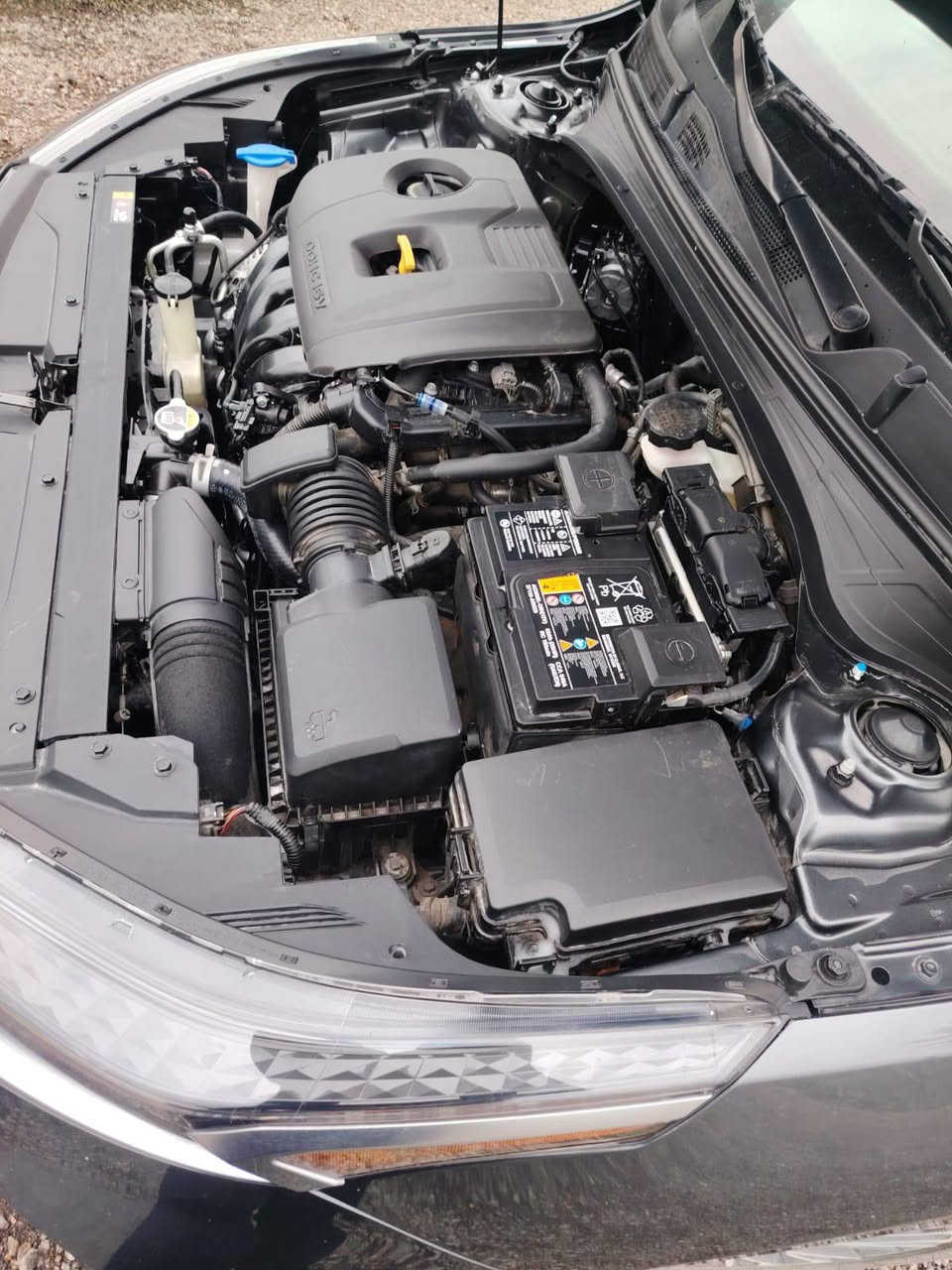 كيا فورتي 2024-لمتد فول موصفات واحد عله واحد بصمات ثنين وياهه تشغيل عن بعد رادارات كل الجوانب تبريد قطعتين تدفئه وتبريد بالكشنات حساس ستيرن تحديد مسار توقف ذاتي ايرباكاتها سليمه بنوراما ماشيه 25الف سياره وارد امريكي حادثهه جنطه مكفوله كفاله عامه ماعده الحادث من أمريكا باسمي سنويه 30 تخم تاير شركه ع وضع الشركه مامفتوح برقي بيهه سياره مال بيت ما ماشيه استيرات ع ايدي مكانها بغداد ابو غريب رقم تلفوني ***********
