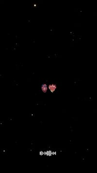 ستوتة جديدة • ديالى • أوراق كاملة