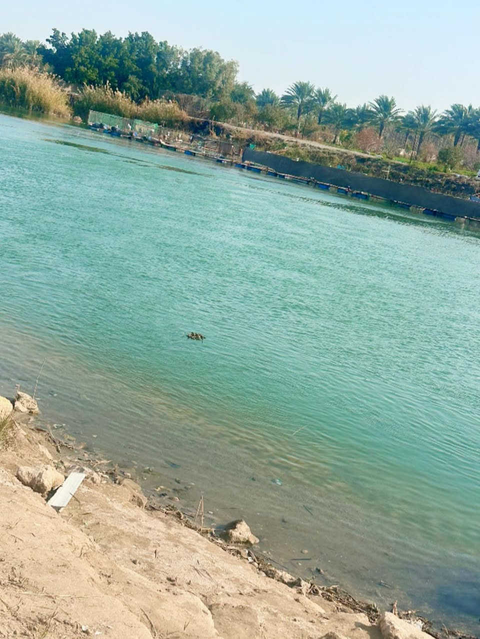 🔅 قطعه للــــــبـيــع  شاطيه🔅🔆
⚜️ المســــاحة⚜️5000متر  دونمين طـابــو  زراعي سند 25 🪐

⚜️ العنــــوان ⚜️  المحاويل  // قريه البوعلوان 

🔆  الــتـــفـــــاصـيــــل  🔆

⚜️الــواجـهـــة : 50 متر  تبليط 

النــــــــــــــزال  100 متر شط 

تبعد القطعه عن شارع حله بغداد  كيلوين فقط 

السعر خاص 

⚜️⚜️⚜️⚜️⚜️⚜️⚜️        

((للاستفســار مراجعـة  المكتب المحامي علي راجي العلواني الكائن في حي 17او الأتصال على الأرقام.🟡🟡📞📞📞♾

*********** 🔆📞

***********
