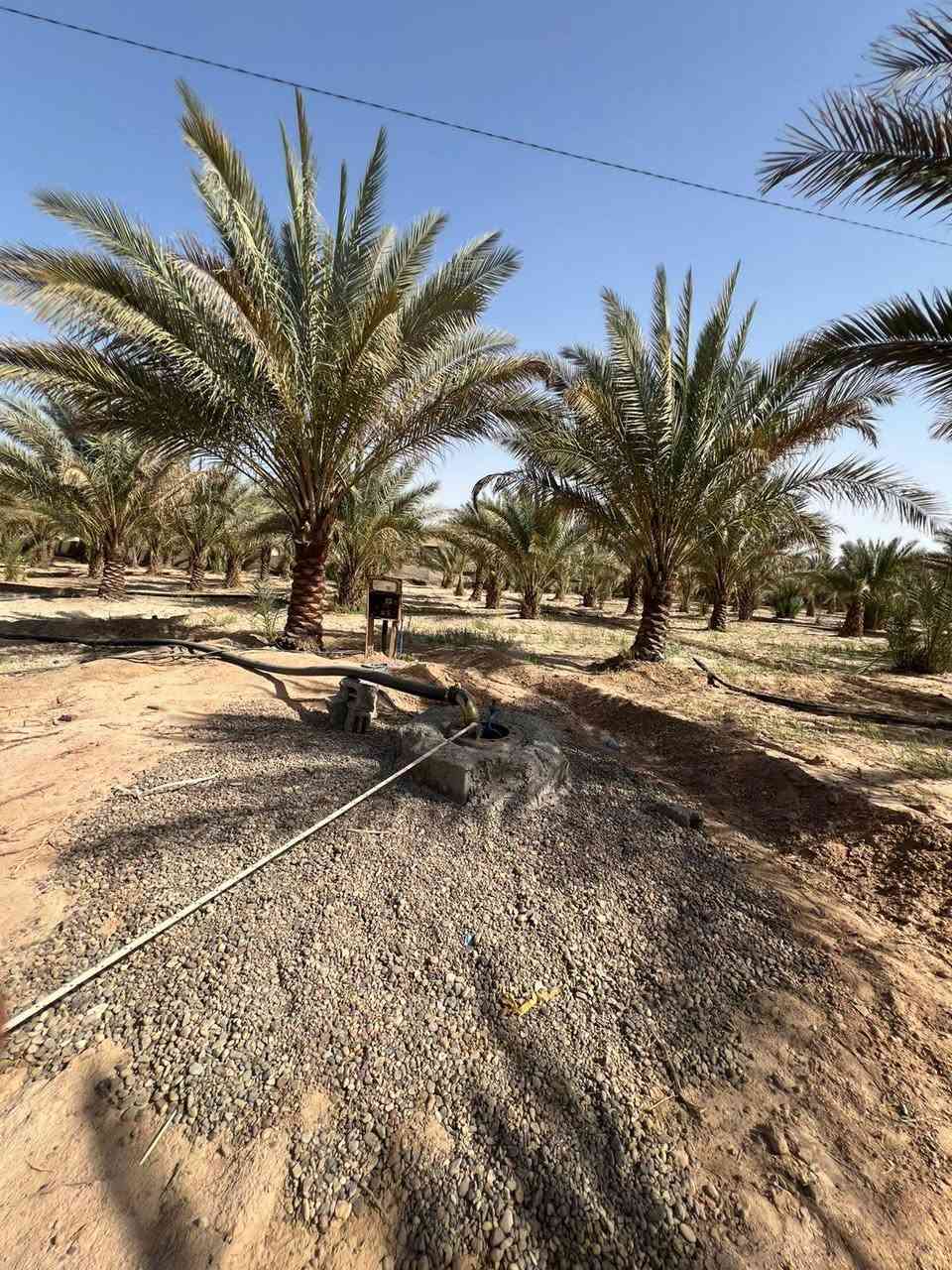 توجد كاع اللبيع في كربلاء 5 دوانم وجهيت شارع كربلاء نجف ***********
