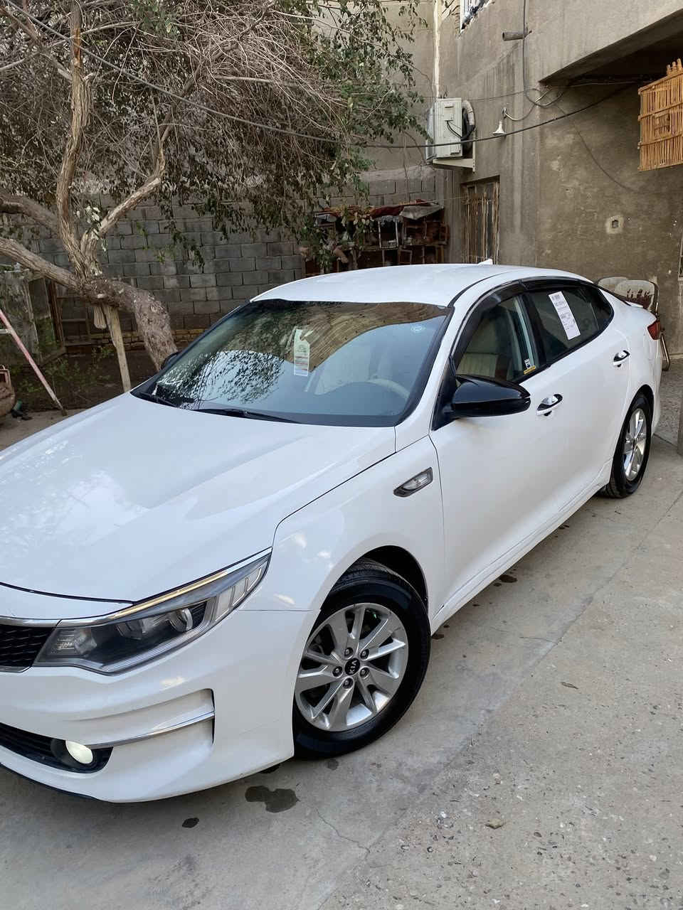 سلام عليكم كيا K5 فايف مديل 2018 ادوات ادوات كصه جنطه دخول جديد سياره بل كارتون جديده كلش احله من صور جاهزه من كلشي مكينه كير حداده تبريد مكفولات مكينه 2000 دوش غاز اصل  مدوشمه كشنات جلد تدفئه تحكم ستيرن منضومه زنون جاهزه سياره 
متوم شمالي نكليزي اصلي طبق اصل ملصق هزه 
السعر 58$
هاتف ***********
مكان البصره
