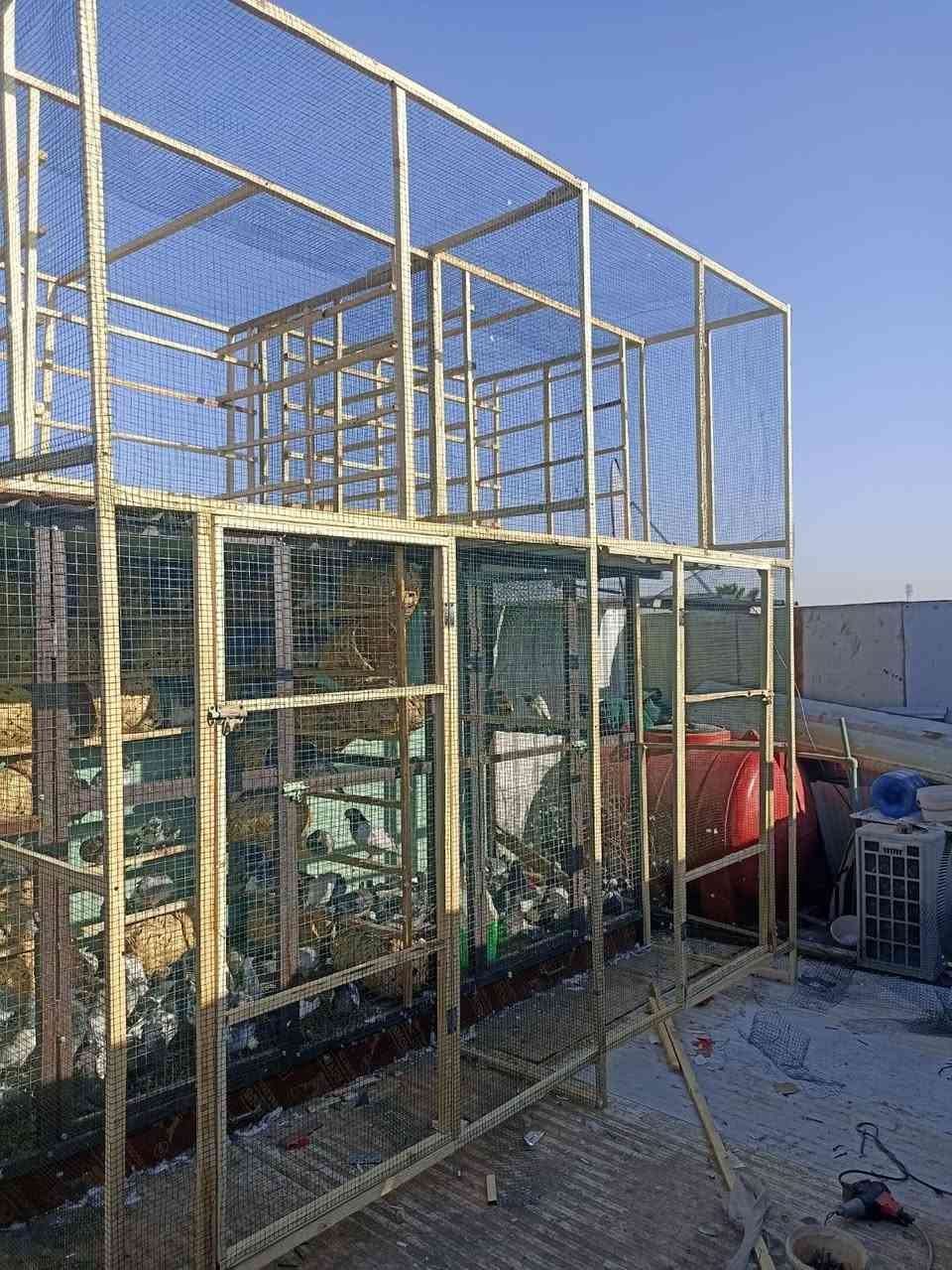 سلام عليكم شباب
اشتغل ابراج وخانات ودشر اقفاص دجاج وجميع الابراج ولاقفاص
جميع التصاميم وبالميزانيه الي تناسبك 
كلشي يخص هالمجال اشتغله  
شغل موقعي يعني اجيك لباب البيت مكاني بغداد الحسينيه مال راشديه
للأستفسار واتساب ***********
