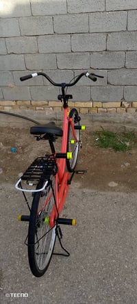 باسكل • ٢٠٢٢ • غراف