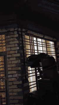 شعب • بيت زراعي • ١٠٠م