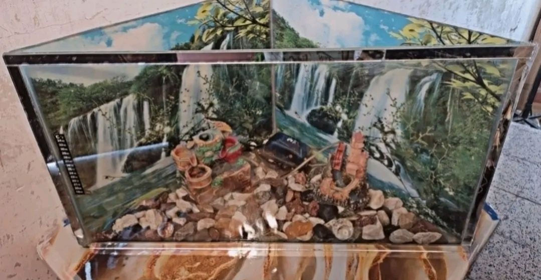 غراض منزليه للبيع مكان ايسر الموصل 
مبرده شغاله حجم 2 ونص كامل هواها بارد سعرها 75
قاعده نبرده تعليك بالحايط سعرها 20
طباخ ابو الفرن فرن شغال كامل سعرو 85
حوض سمك كبير مع ملحقاتو كامله سعر35


**إذا كنت صاحب هذا الإعلان وتريد حذفه لأي سبب، رجاءا أرسل رسالة إلى الدعم الفني**