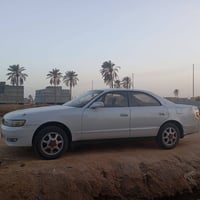 سيزر • كفالة سنوية • الجزيرة