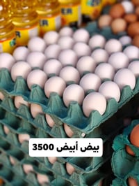 يم ماركت المصطفى • الفرع الأول • البيج الجديد