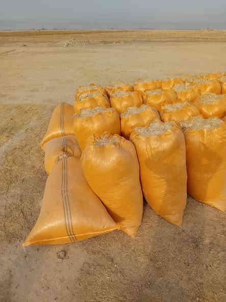 السلام عليكم ورحمه الله وبركاته
تبن للبيع شليف أبو 90 ترس فول سعر الزوج مطروح بالمكان 13000 الاتصال أو مراسلة الصفحة على المازنجر ***********
ويوجد خدمة توصيل أجرة كيا بغداد وديالى والأنبار
