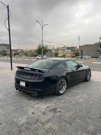 موستنك V6 • ٢٠١٤ • رقم بغداد